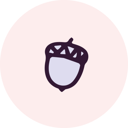 illustration of an acorn