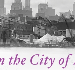 city skyline taken across river