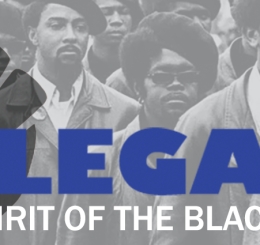 black panthers
