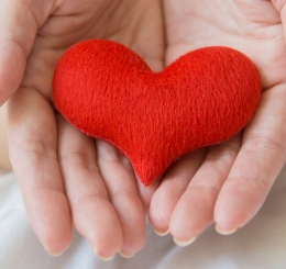 hands hold felt heart