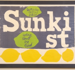 A Witness to the Light