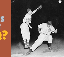 What's your KC Q graphic