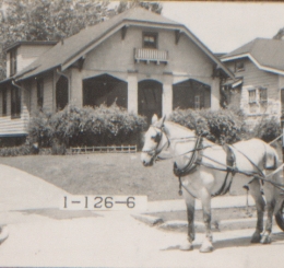 1940 tax assessment photo featuring a horse and a wagon