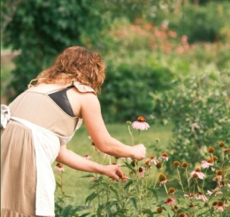 2025-07-27 Joyous Longevity The AZ Field Guide