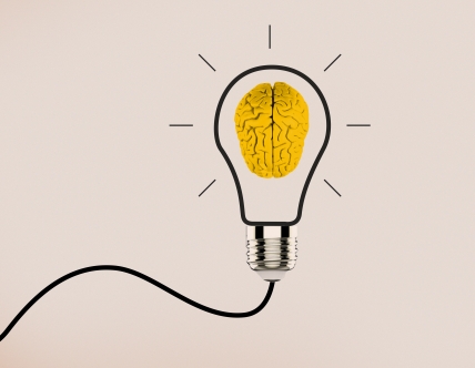 illustration of lightbulb with brain inside