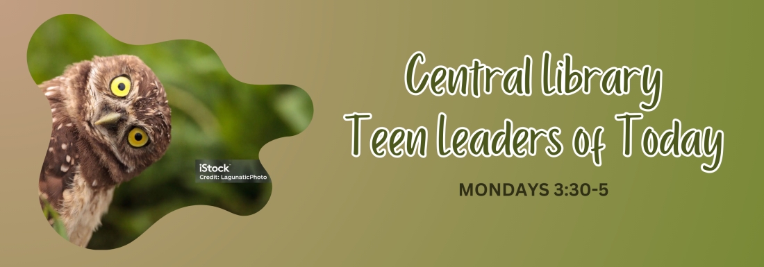 owl peaking from side