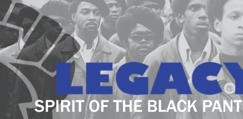 black panthers