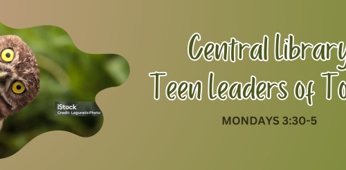 owl peaking from side