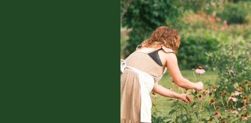 2025-07-27 Joyous Longevity The AZ Field Guide