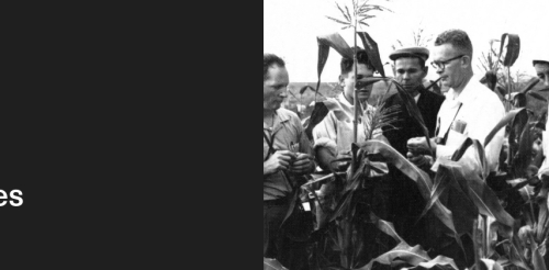 2025-08-05 The 1955 Agricultural Exchange and the Fall of the USSR